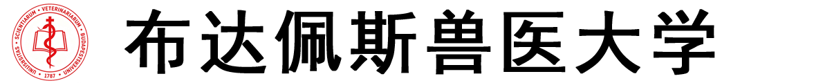匈牙利维克勒国际大学logo